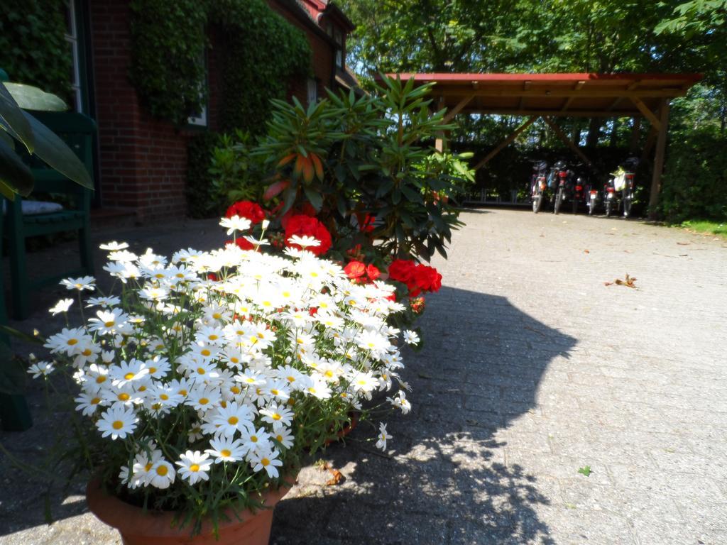 Apartament Haus Am Deich Utersum Zewnętrze zdjęcie